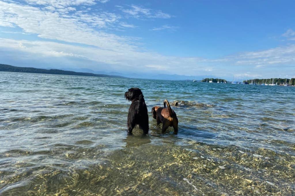 Nemos Paradies - Top Lage Am See Und Sbahn Pocking  Bagian luar foto